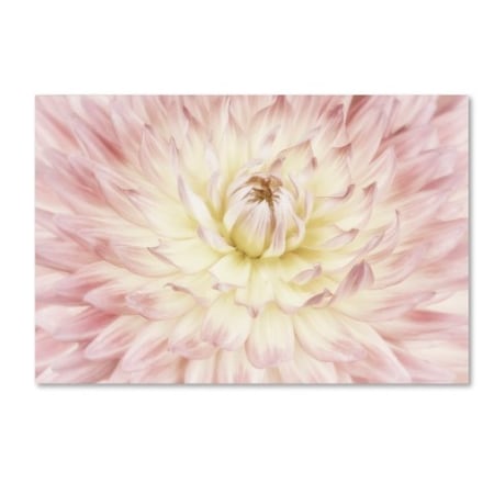 Cora Niele 'Dahlia Flower' Canvas Art,22x32